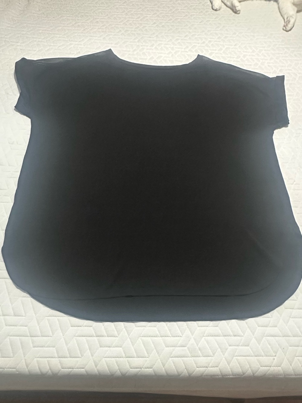 Black Short-Sleeve Scoop Neck T Shirt Blouse with Sheer Shoulders